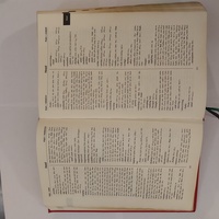 Repertorium Schroyens i Materia Medica Boericke